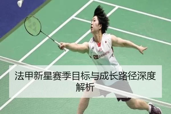 法甲新星赛季目标与成长路径深度解析